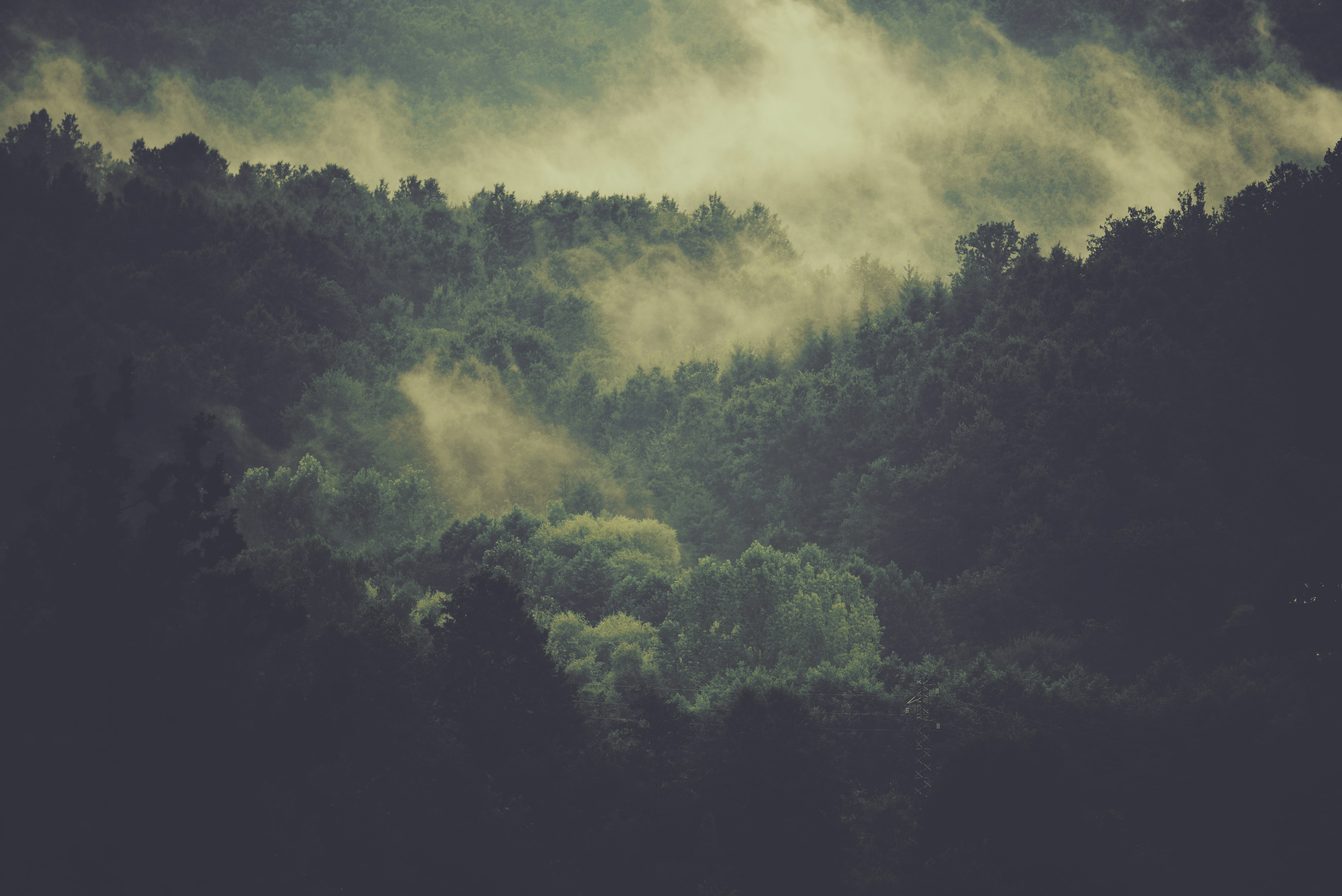 aerial photography of foggy mountain